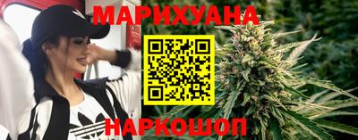 гидра Будённовск