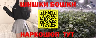 гидра Будённовск