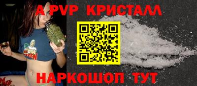 гидра Будённовск